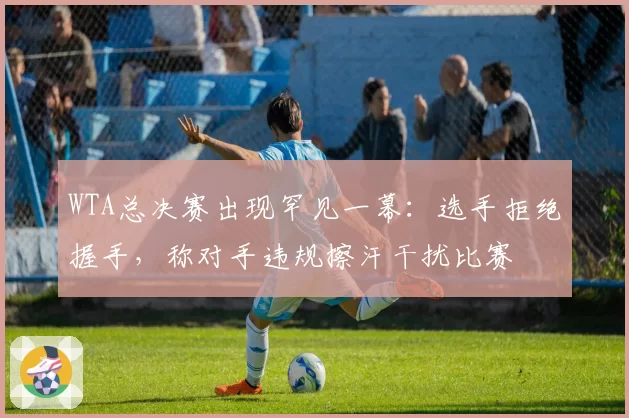 WTA总决赛出现罕见一幕：选手拒绝握手，称对手违规擦汗干扰比赛